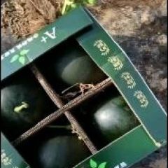 9月一11月份大量供应辽南沙蜜佳西瓜，麒麟西瓜，甜王西瓜