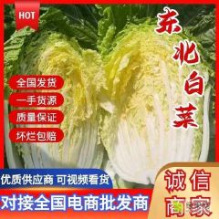 吉林黄心菜大量上市 无虫眼 无烧心 4一5一6斤