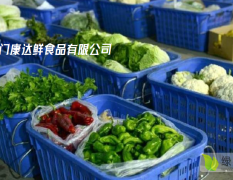 生鲜蔬菜配送工厂企业事业单位学校医院职工食堂