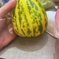 寻求西瓜香瓜客商