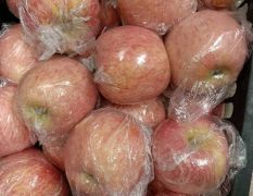 山西万荣纸加膜，膜袋冰糖心苹果，产地直供，价格便宜