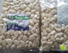 厂家发货优质蒜米，保质期两月