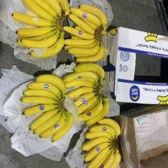 河北永年香蕉大量供应中