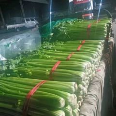 西芹大量有货，河北省昌黎县老刘蔬菜代收17803357888