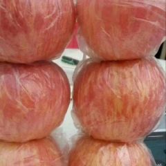 陕西红富士苹果产地批发价格，纸加膜红富士苹果批发行情。