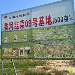 香河韭菜国家地理标志产品