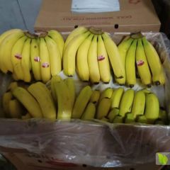 香蕉微信19913876609