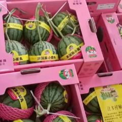大量供应小糖丸手剥皮小西瓜