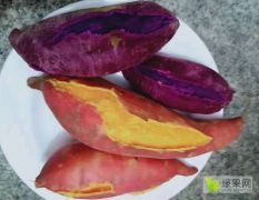 产地直销，红薯，紫薯