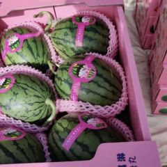 潍坊张辉西瓜代收代发