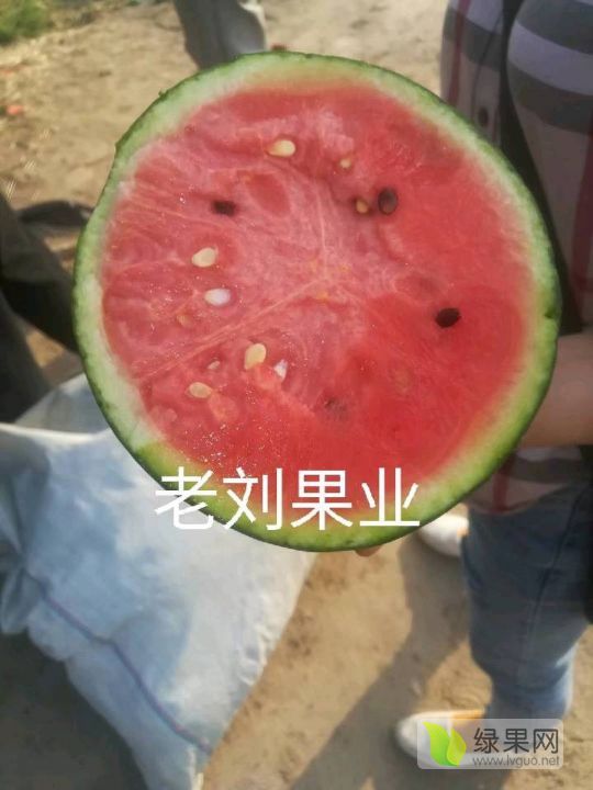2024年山东寒亭全美2k小糖丸价格