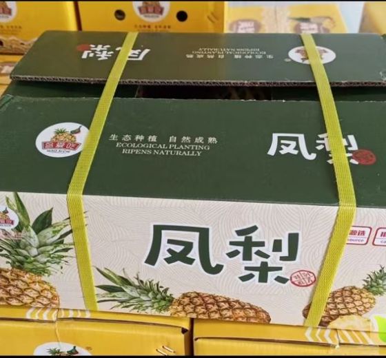 2024年陕西未央金钻十七号凤梨价格
