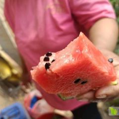 产地直销，可整车，可一件代发