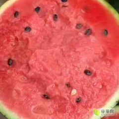 万亩甜王大量上市