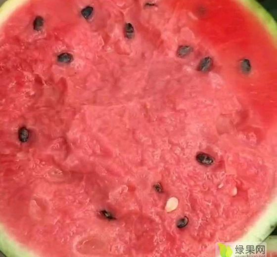 甜王系列价格