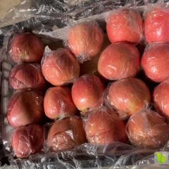 山西运城红富士苹果产地