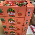 各种西瓜甜瓜代收代发