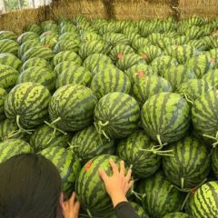 大量供应，大吨位