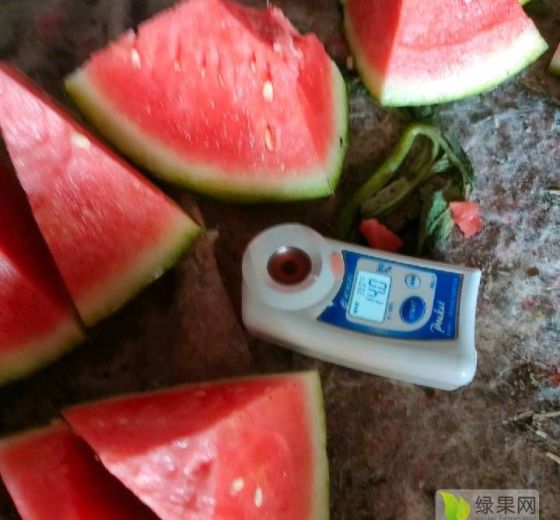 美都价格