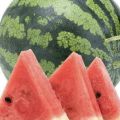 青岛莱西甜王西瓜