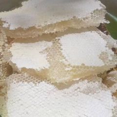 云南省普洱市土蜂蜜，华蜂
