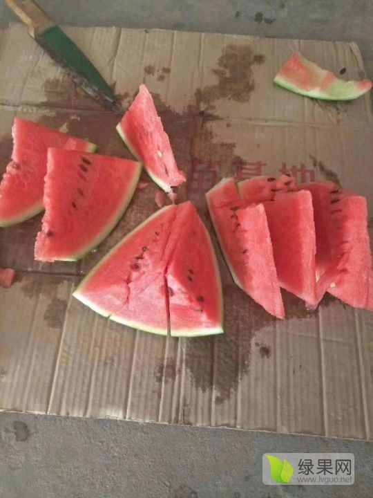 麒麟西瓜价格