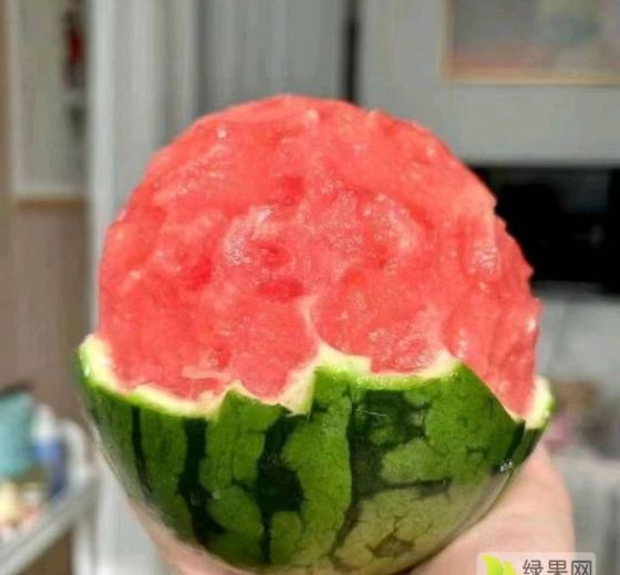美都西瓜价格