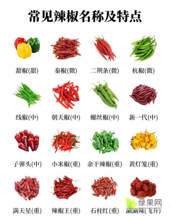 辣椒品种.png