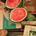 老挝精品甜王西瓜价格不高 洪磊团队诚信代发全国