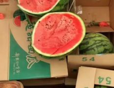 老挝精品甜王西瓜价格不高 洪磊团队诚信代发全国