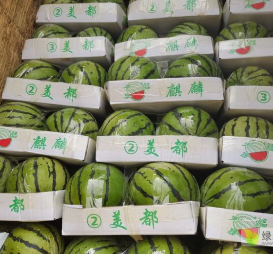 2016年山东禹城京欣价格