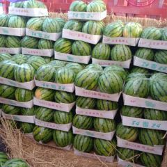 湖南岳阳大棚头无籽美都，玖甜，大面积上市