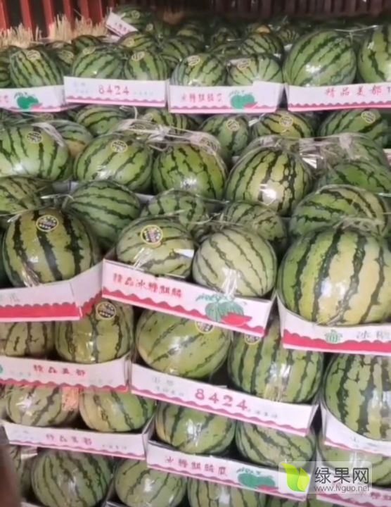 美都价格