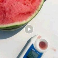 山东昌乐县大量小糖丸西瓜