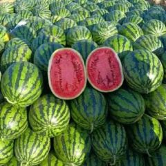 山东昌乐甜王西瓜代办代发