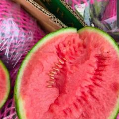 小糖丸大量上市中，物美价廉质量一流欢迎惠