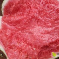 美都，甜王，8424龙卷风