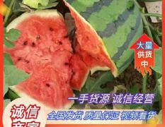 山東甜王西瓜