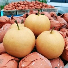 翠冠梨，皇冠梨，圆皇梨，丰水梨，秋月梨直