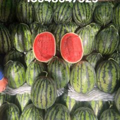甜王西瓜供应/辽宁西瓜代办/凌海西瓜代办