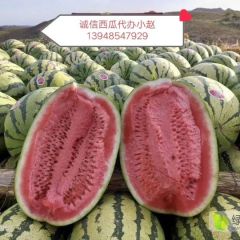 宁夏西瓜代办 中卫西瓜代办 硒砂瓜代办