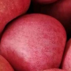 甘肃纸袋秦冠苹果75起步，上不封顶