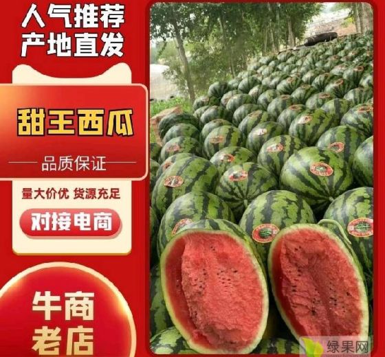甜王系列价格
