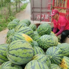 西瓜产地代发代收