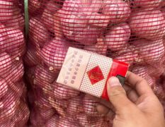 紫紅皮大蒜