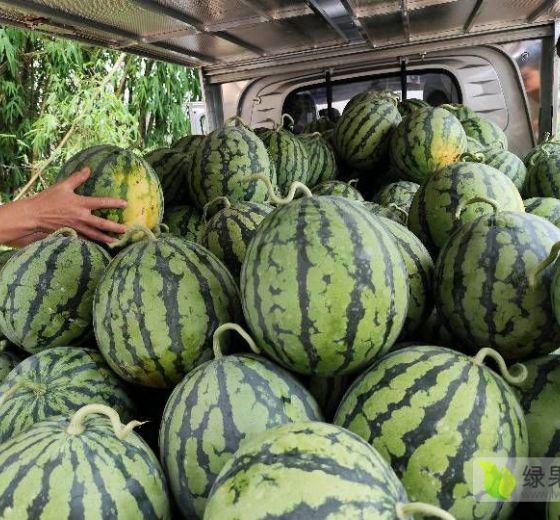 美都价格