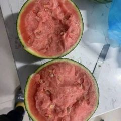 黑山吊瓜；一手货源！