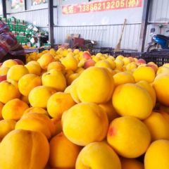 大量供应锦绣黄桃黄金蜜电商货市场货工厂货