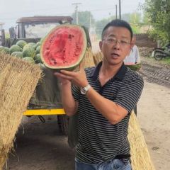 吉林产区精品西瓜便宜啦 洪磊诚信代办代发
