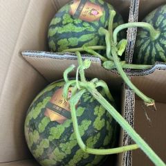 露天、头茬、有籽美都大量上市，价格美丽，